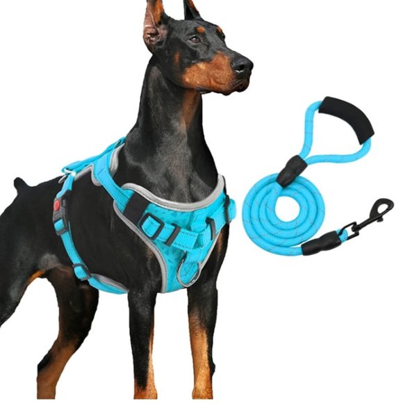 Dog Harness No Pull, Dog Vest Harness with Dog Leash, Large